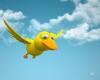funny 3d wallpapers (17)